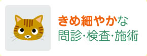 きめ細やかな問診・検査・施術