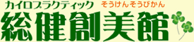 カイロプラクティック 総健創美館