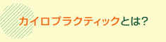 カイロプラクティックとは？