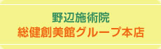 野辺施術院総健創美館 グループ本店